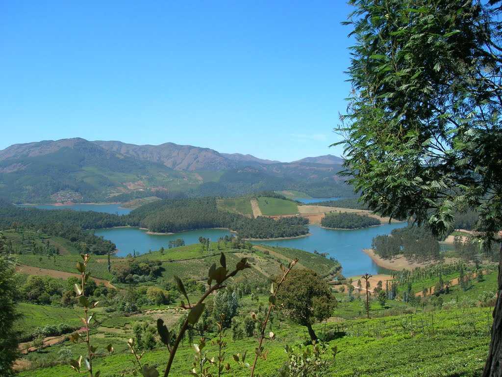 emerald-lake-ooty-img